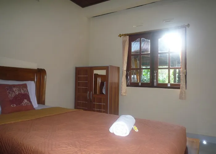 Casa de hóspedes Shindu
